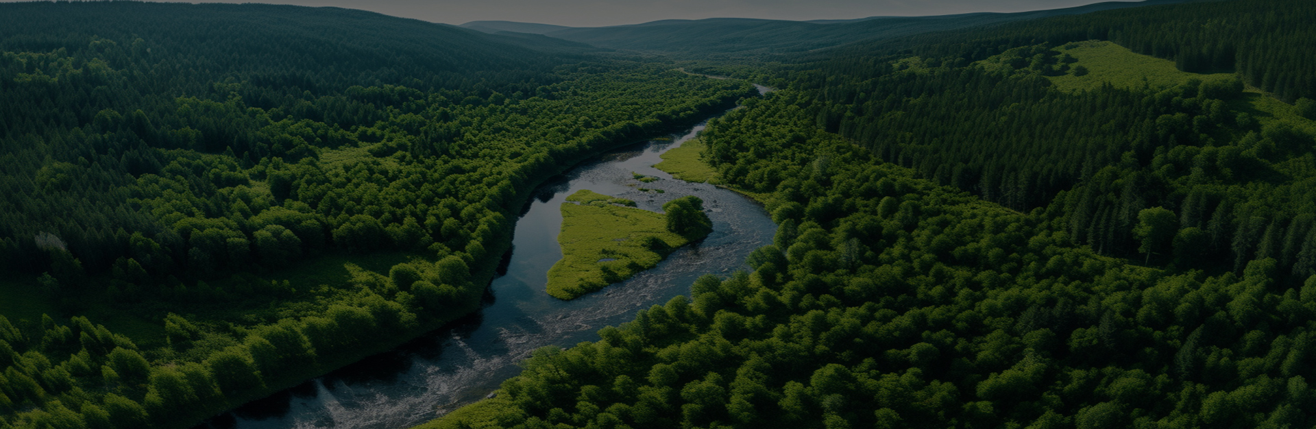 Jiaxing Dingshi Makine İmalat Co, Ltd