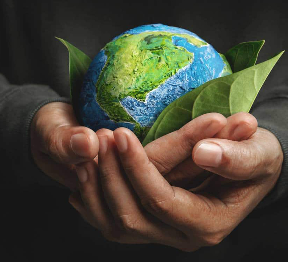 Jiaxing Dingshi Makine İmalat Co, Ltd